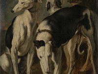GG 95   GG 95, Frans Snyders (1579-1657), Drei Windhunde, Leinwand, 83 x 68 cm : Museumsfoto: Claus Cordes